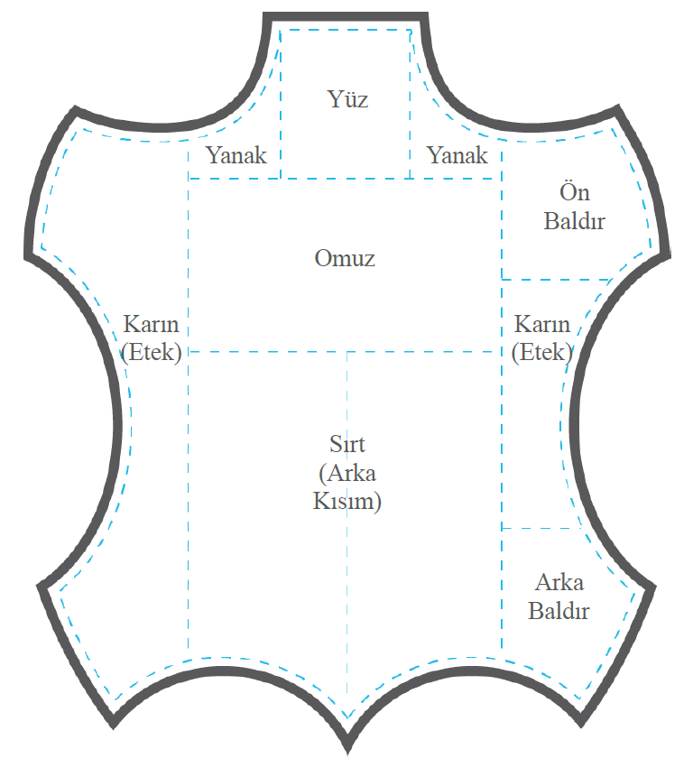 Deri Şekli ve Kısımları GEREDE Deri